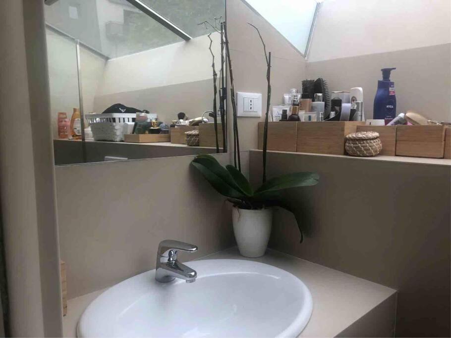 Loft Polimi Appartamento *